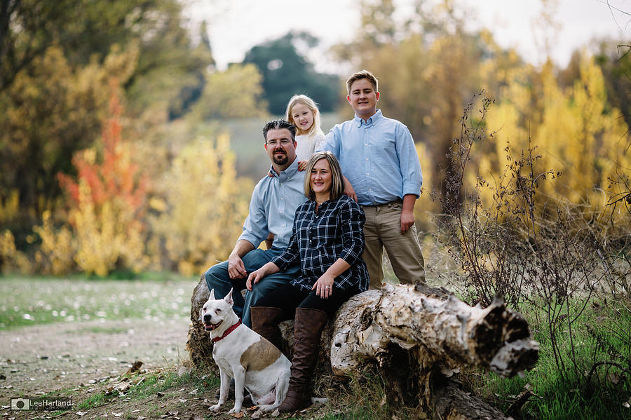 Mini Family Sessions Photograph by Lee Harland