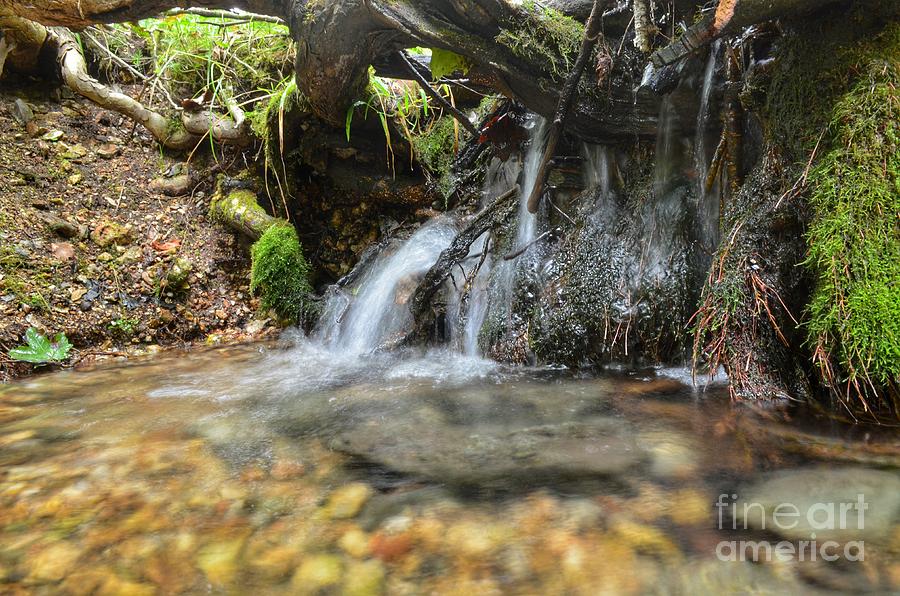 Fall Photograph - Mini Waterfal by Jared Eggo
