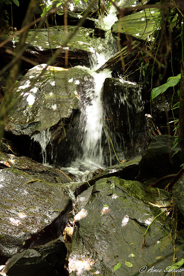 Mini Waterfall Photograph by Aimee Sanowar - Fine Art America