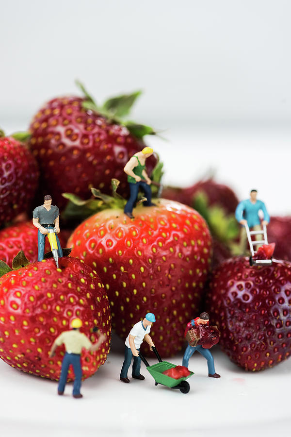 Miniature Construction Workers on Strawberries Photograph by Tammy Ray
