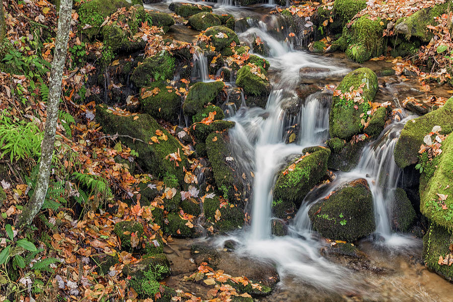 Autumn falls фото