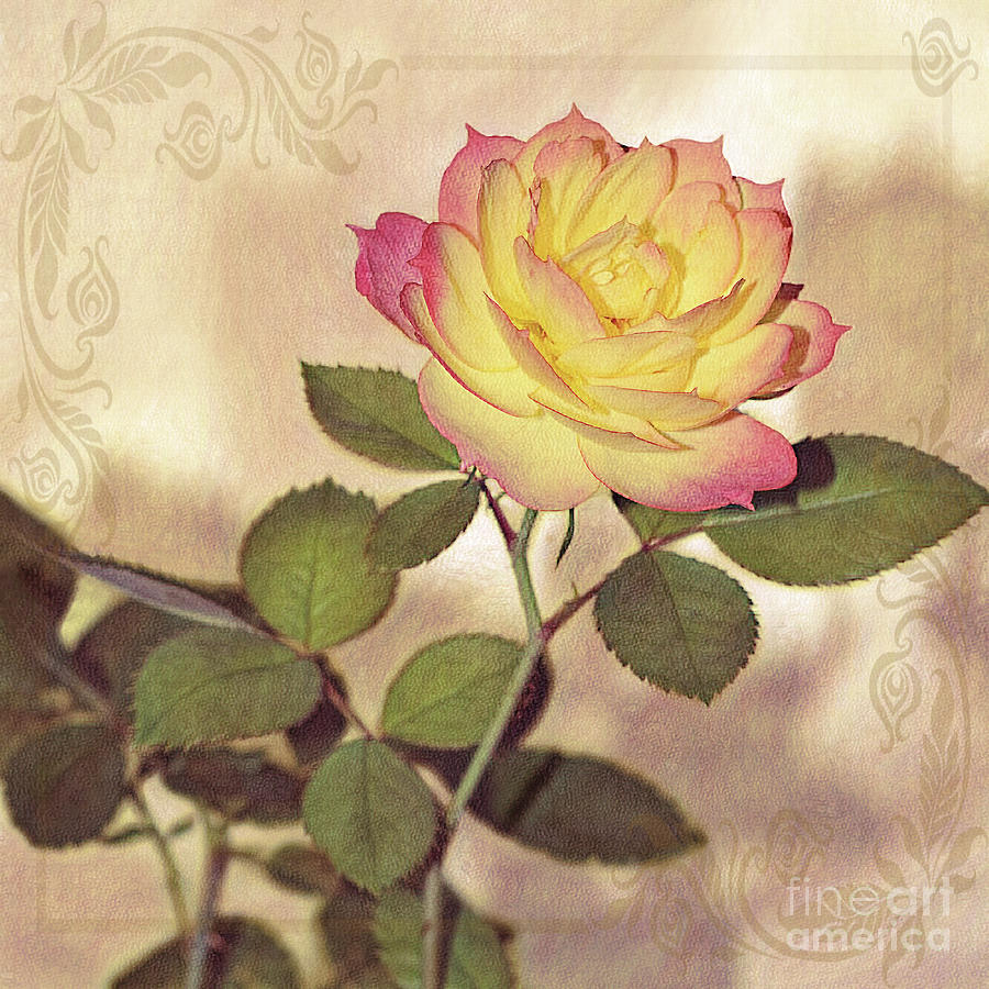 Vintage Photograph - Miniature Rose Vintage Style by Kaye Menner by Kaye Menner