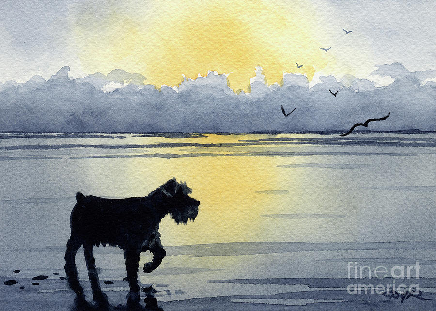 Sunset Painting - Miniature Schnauzer at Sunset by David Rogers