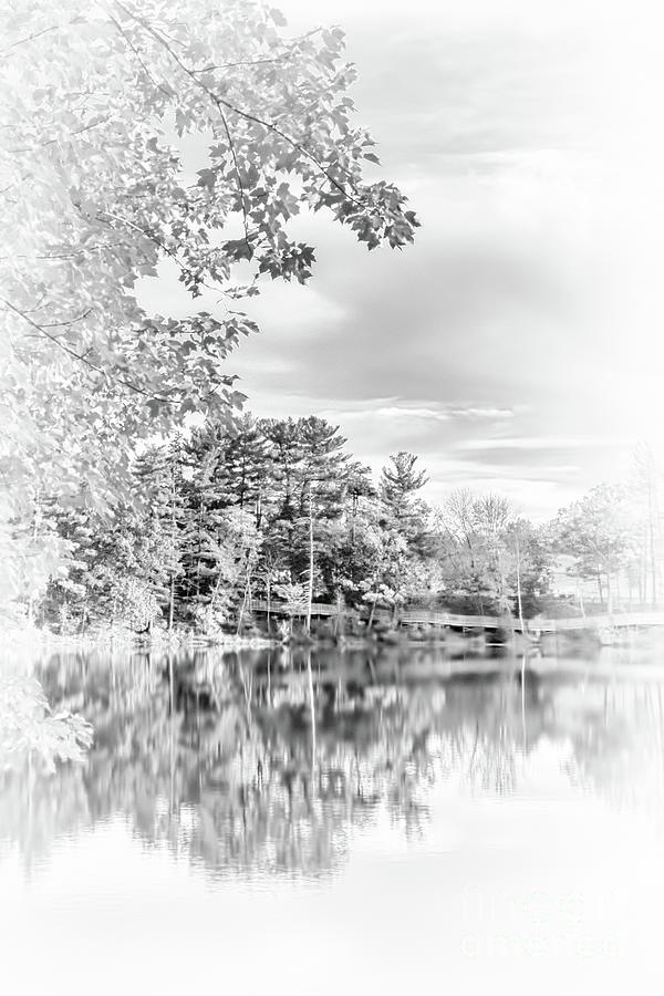 Minimalist Fall Scene in Black and White Photograph by Anita Pollak