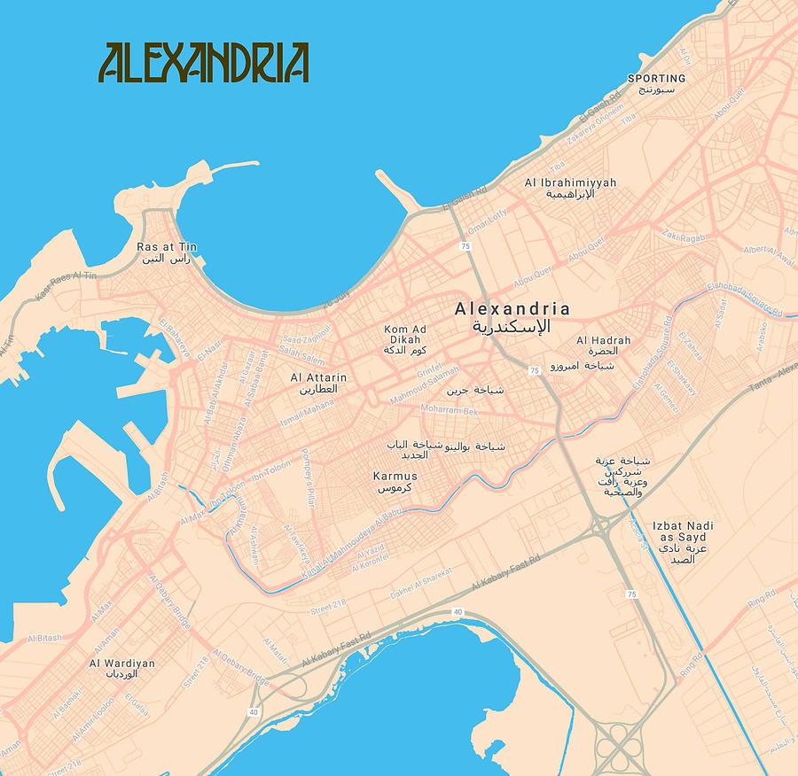 Minimalist Modern Map of Downtown Alexandria, Egypt 2A Painting by Celestial Images