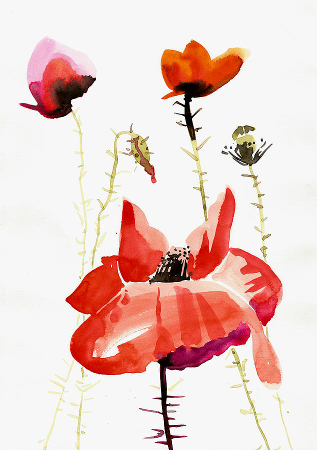 Minimalist Poppy Field Watercolor Painting by Tiberiu Soos