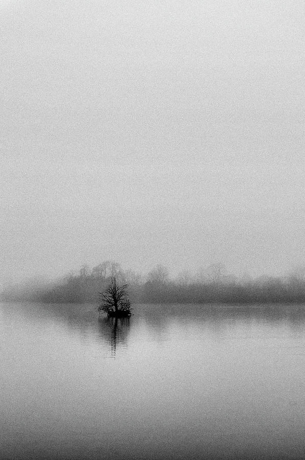 Minimalist Tree in the fog. Photograph by John Paul Cullen