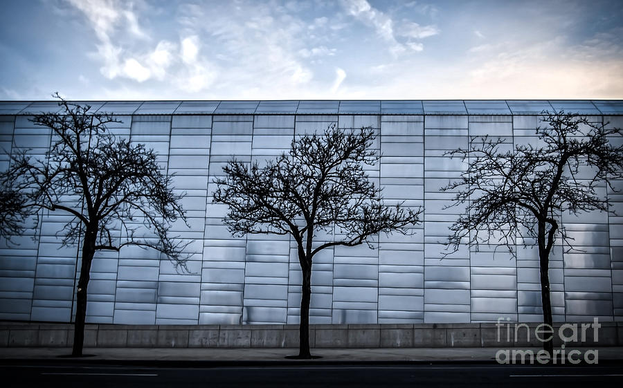 Minimalist Urban Trees Photograph by James Aiken