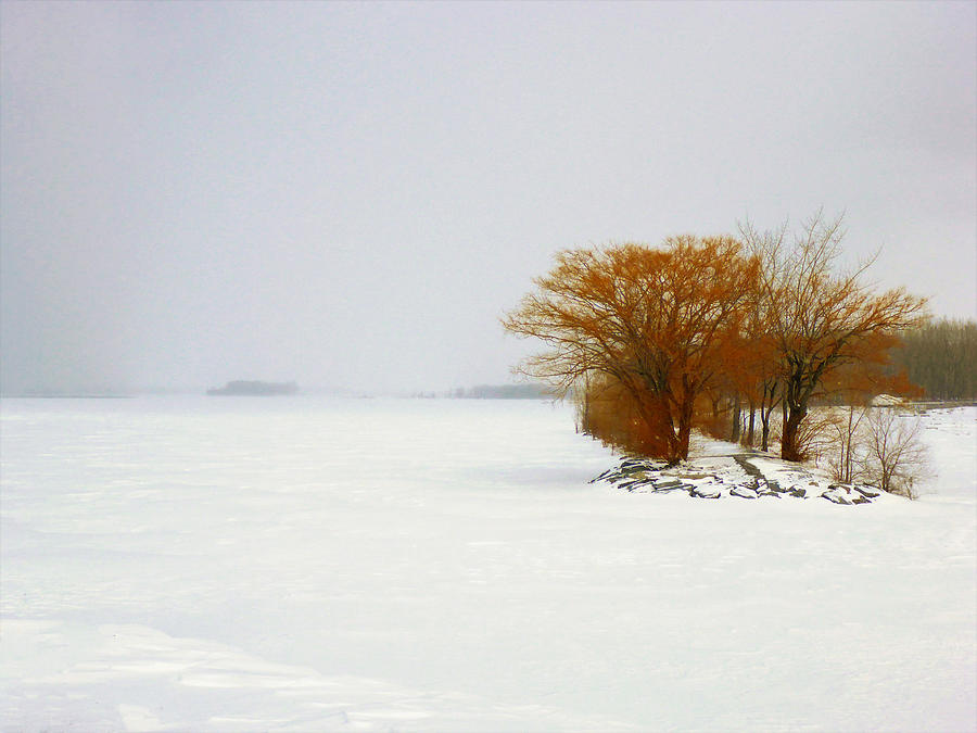 Minimalist Winter Landscape Photograph by Cristina Stefan