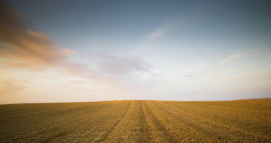 Minimalistic landscape with Meadow wheat field Photograph by Michalakis Ppalis