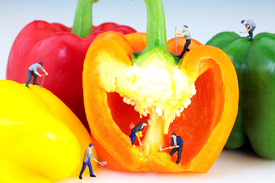 Mining in colorful peppers Photograph by Paul Ge