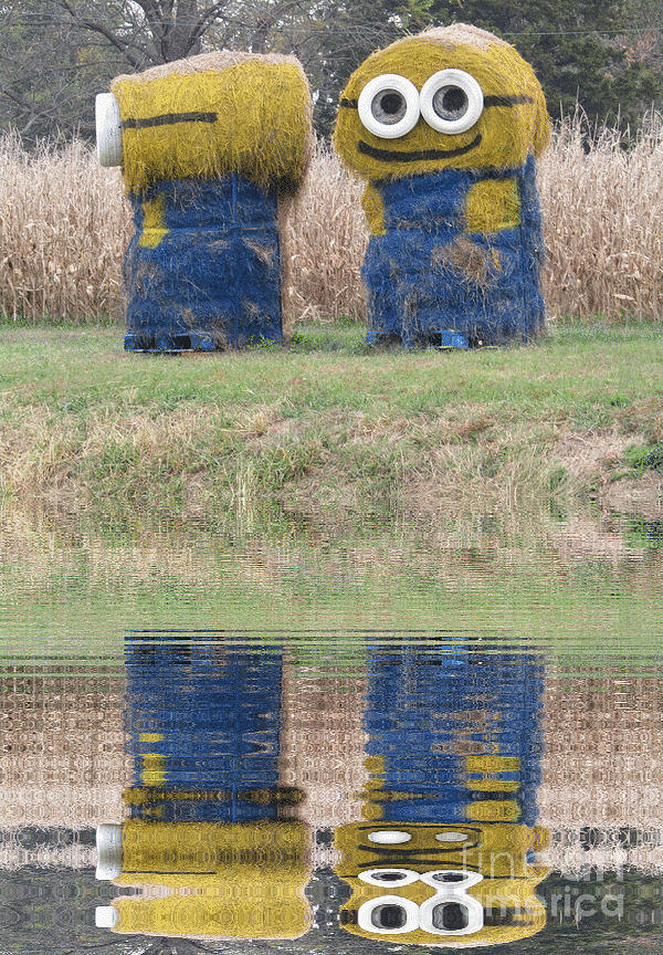 Minions in a Reflection Pool Photograph by Kelly Awad