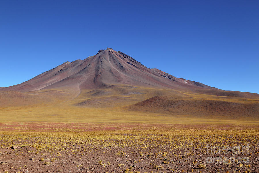 Miniques Volcano and High Altitude Desert Chile Photograph by James Brunker