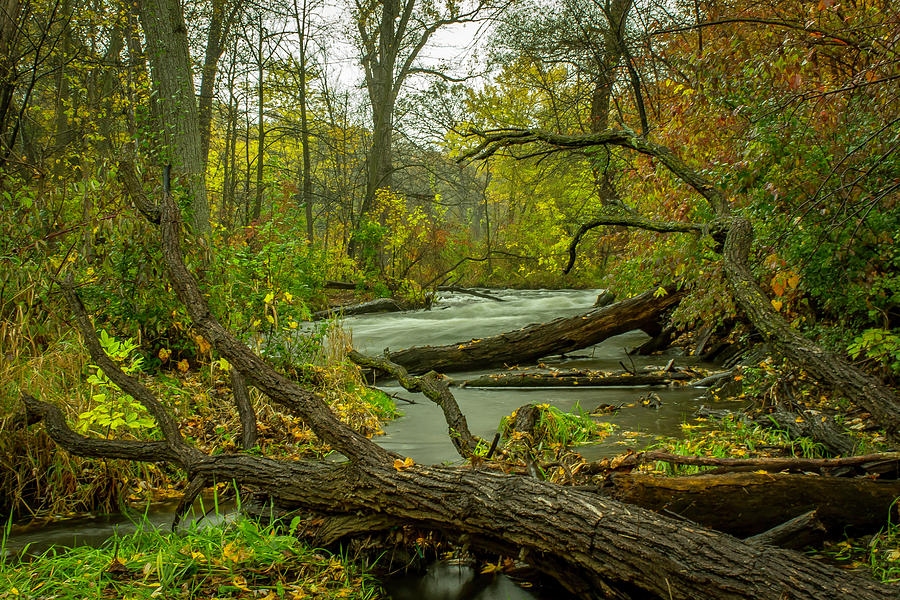 Minnehaha Creek Photograph by Kevin Argue