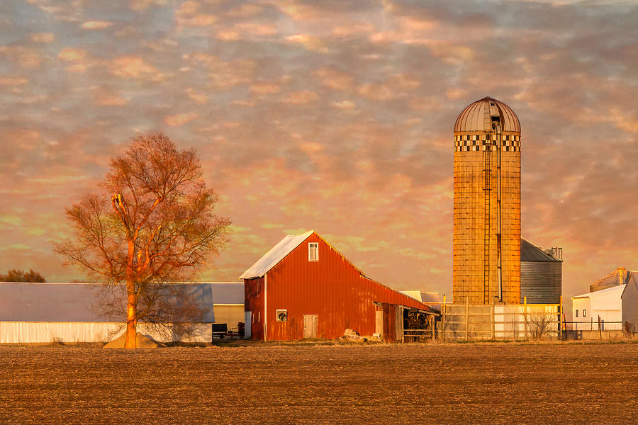 Minnesota Farm at Sunset Photograph by Patti Deters
