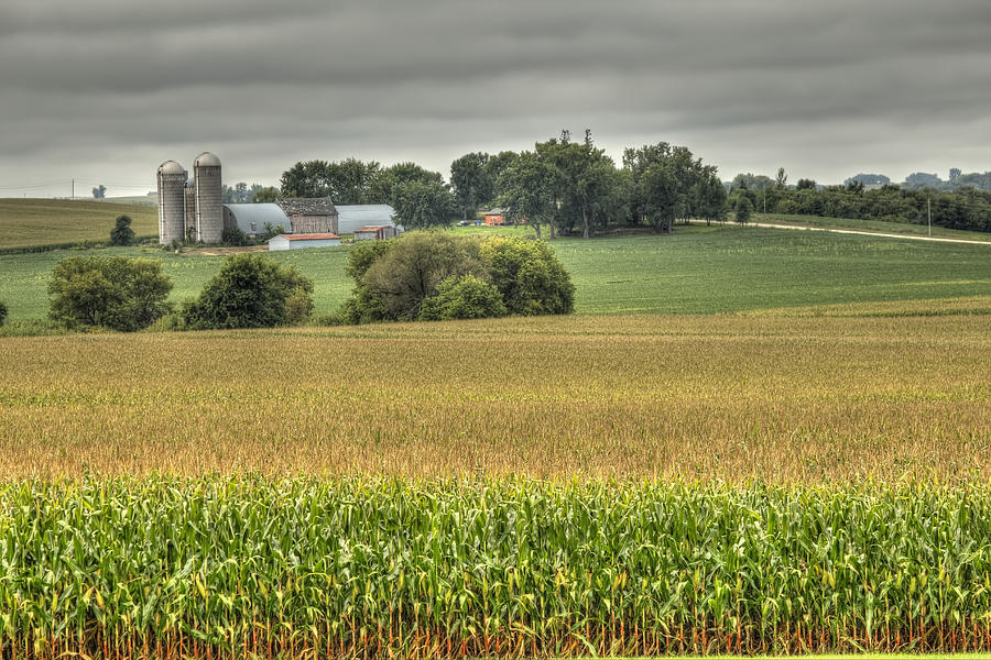 Minnesota Farm Photograph By Deb Buchanan