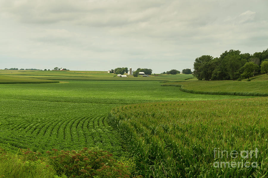 Minnesota farm Photograph by Garry McMichael