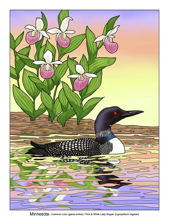 Minnesota State Bird Loon And Flower Ladyslipper Painting by Crista Forest