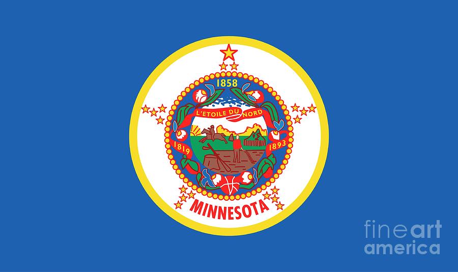 Minnesota state flag Painting by American School