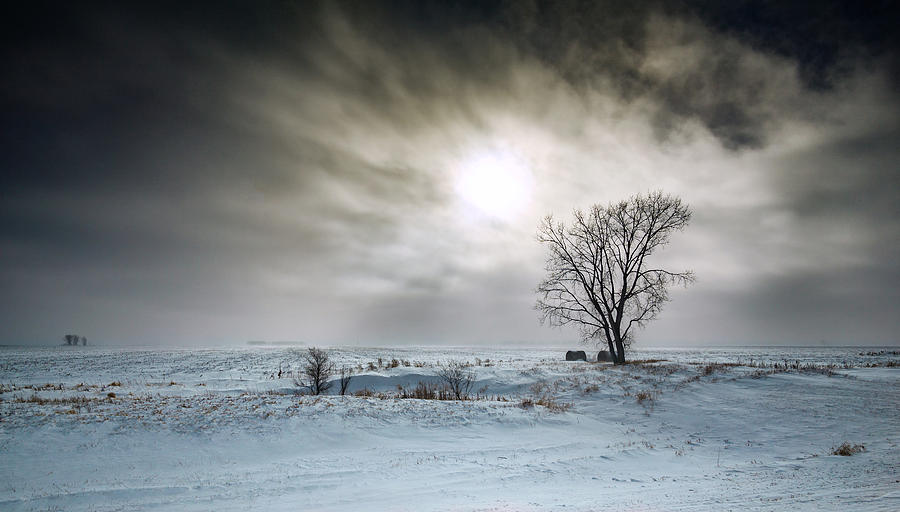 Minnesota Winter Storm Photograph by Cory Shubert - Fine Art America