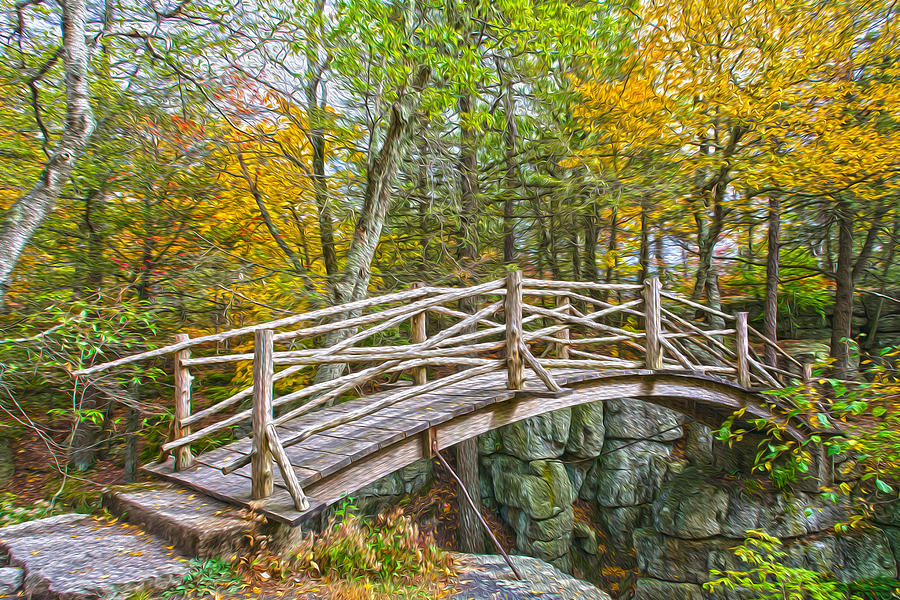 Abstract Photograph - Minnewaska Footbridge in Abstract by Angelo Marcialis