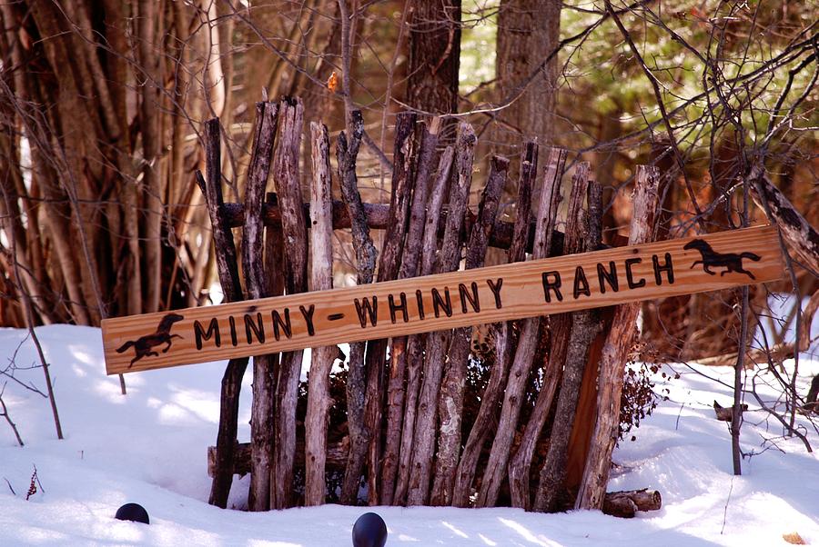 Minny Whinny Ranch Photograph by Kellie Prowse