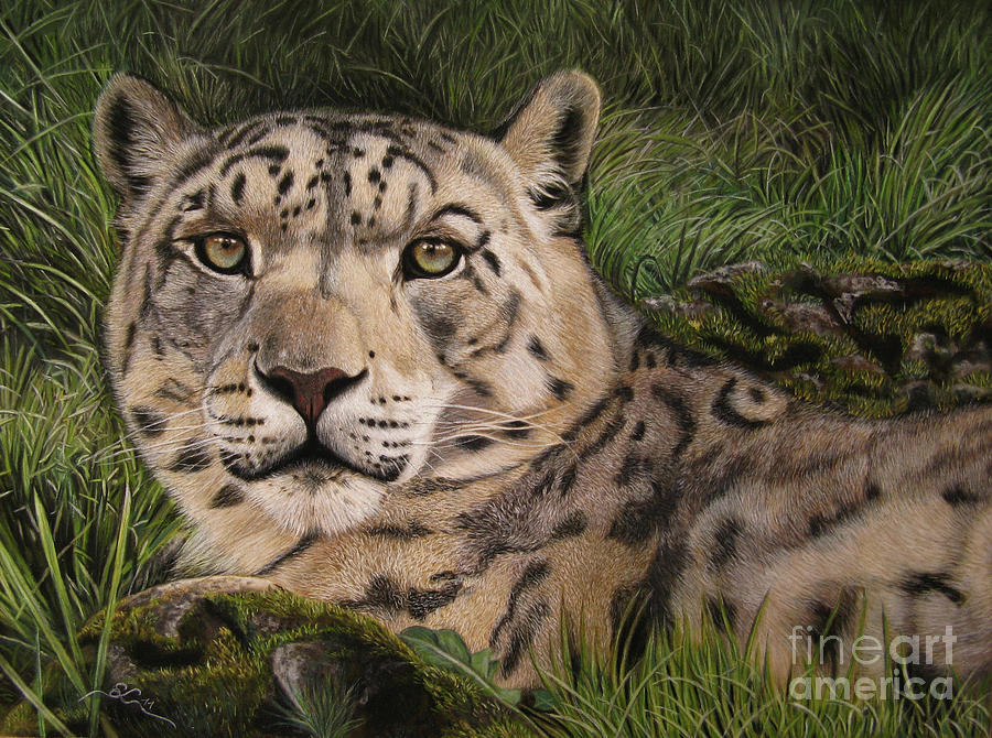 Cat Painting - Mira - Snow Leopard Lady by Sabine Lackner