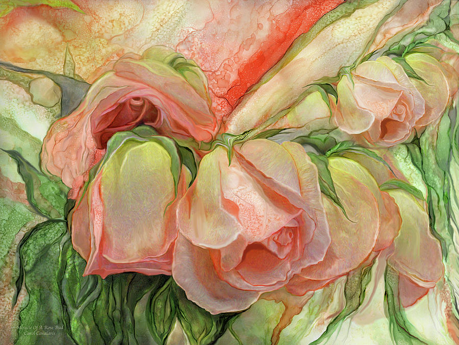 Miracle Of A Rose Bud - Peach Mixed Media by Carol Cavalaris