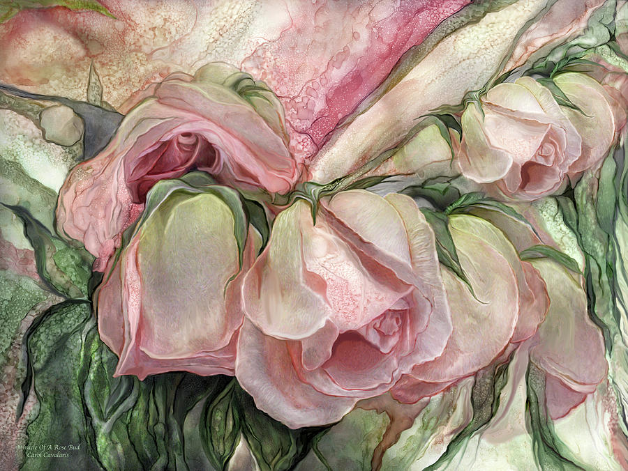 Miracle Of A Rose Bud - Pink Mixed Media by Carol Cavalaris