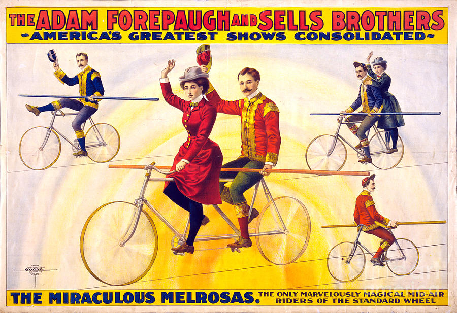 Bicycle Painting - Miraculous Merosas by Brian Collins