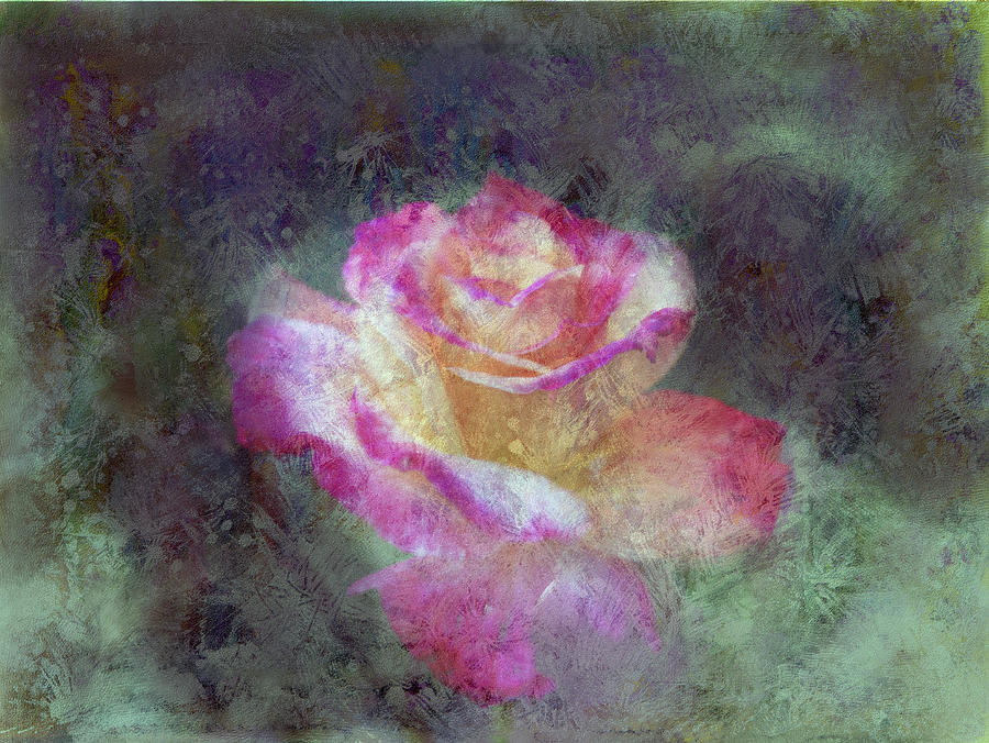 Mirage Rose Painting by Don Wright