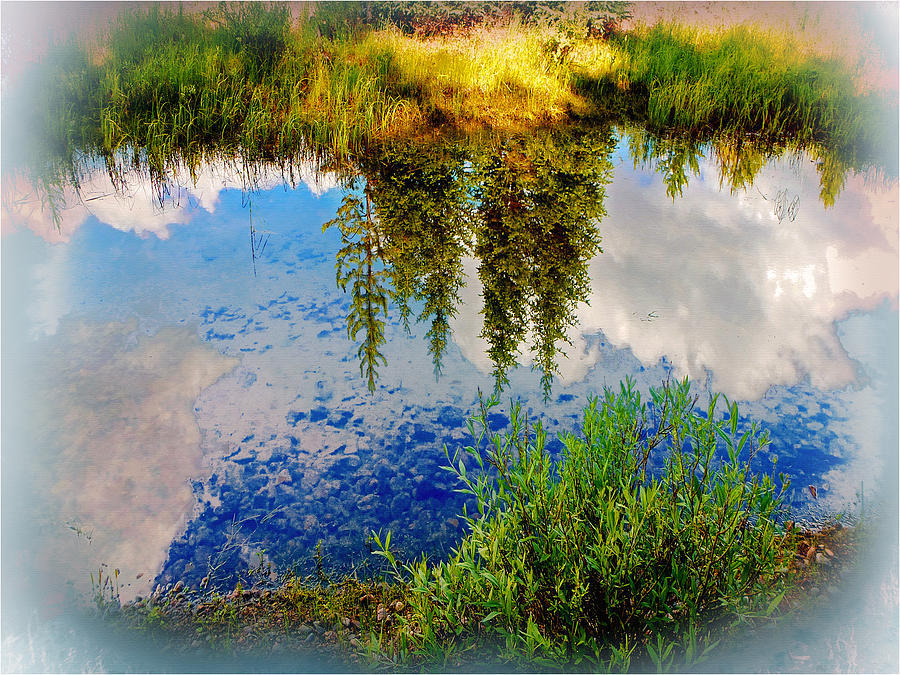 Mirror Image Photograph by John Anderson