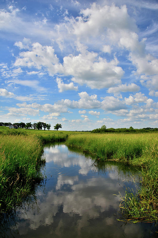 Mirror Image of Clouds in Glacial Park Wetland Photograph by Ray Mathis