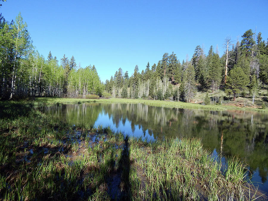 Mirror Lake Photograph By Jennifer Kelly - Pixels