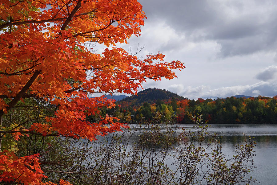 Mirror Lake Lake Placid NY Foliage Orange Tree Photograph by Toby McGuire