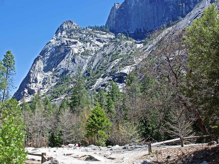 Mirror Lake Trail in Yosemite National Park, California  Photograph by Ruth Hager