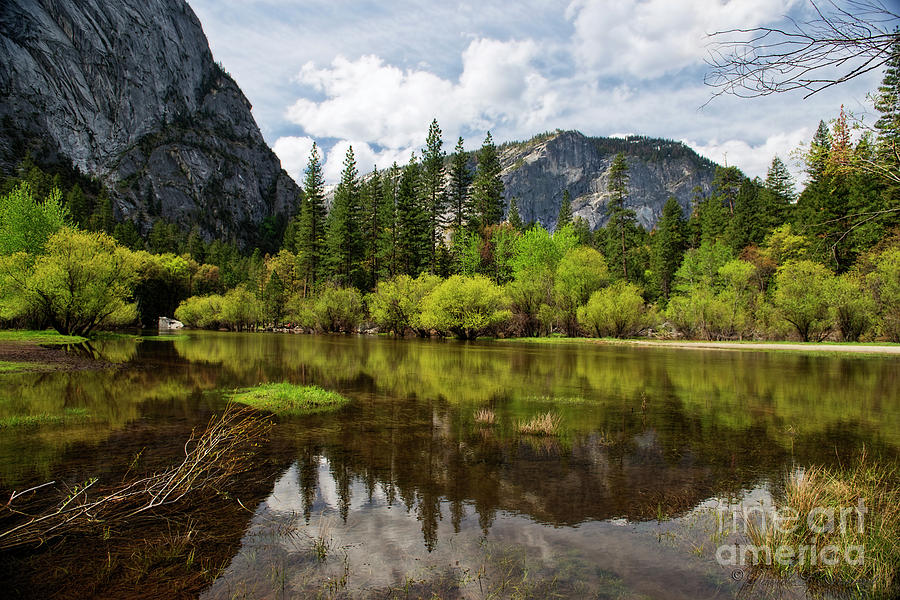 Mirror Lake Yosemite Photograph by David Arment