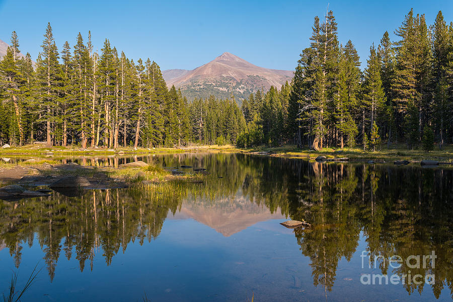 Mirror Lake, Yosemite National Park Photograph by Mel Ashar