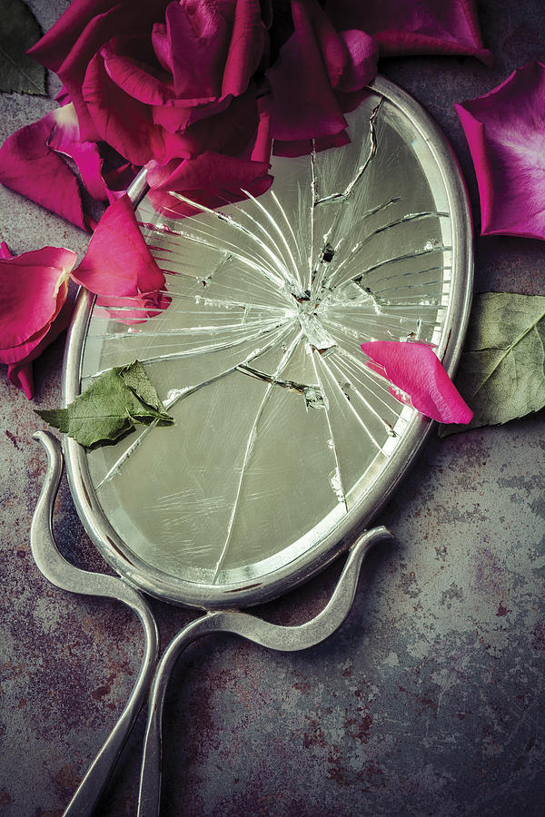 Rose Photograph - Mirror, Mirror... by Amy Weiss