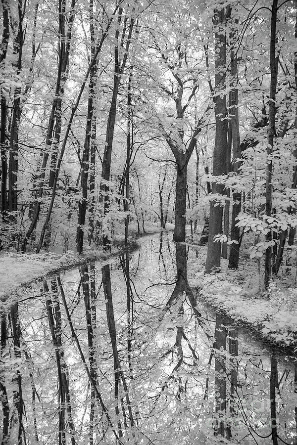 Mirror Path Photograph by Craig Hinton - Fine Art America