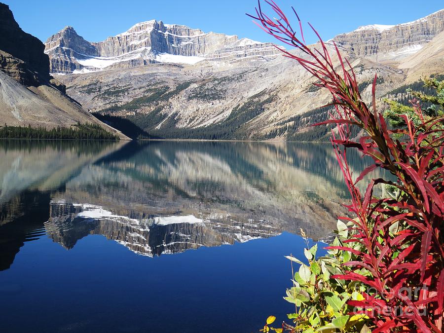 Banff National Park Photograph - Mirror Reflection by Harriet Peck Taylor