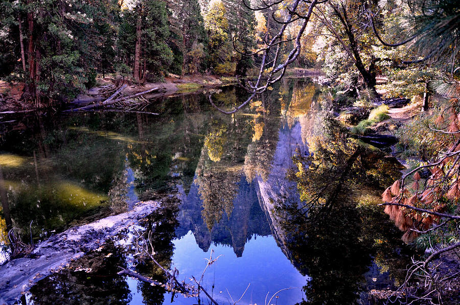Yosemite National Park Photograph - Mirror by Vijay Sharon Govender