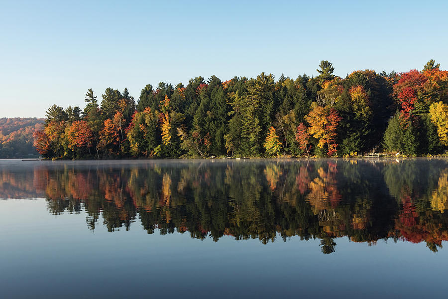 Mirrored Autumn -  Photograph by Georgia Mizuleva