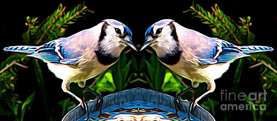 Mirrored Bird Series Blue Jays Expressionist Effect Mixed Media by Rose Santuci-Sofranko