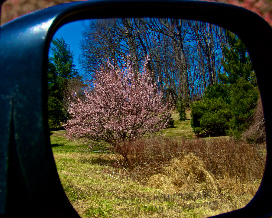 Mirrored Effect Photograph by Kathi Isserman
