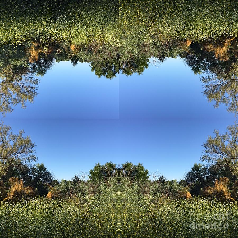 Mirrored Photograph by Nora Boghossian