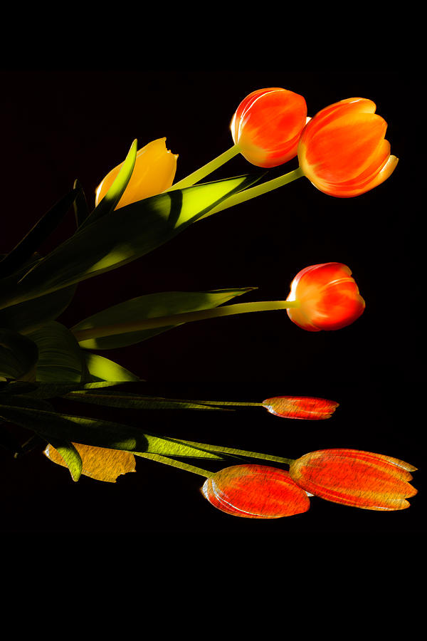 Mirrored Tulips Digital Art by Wolfgang Stocker