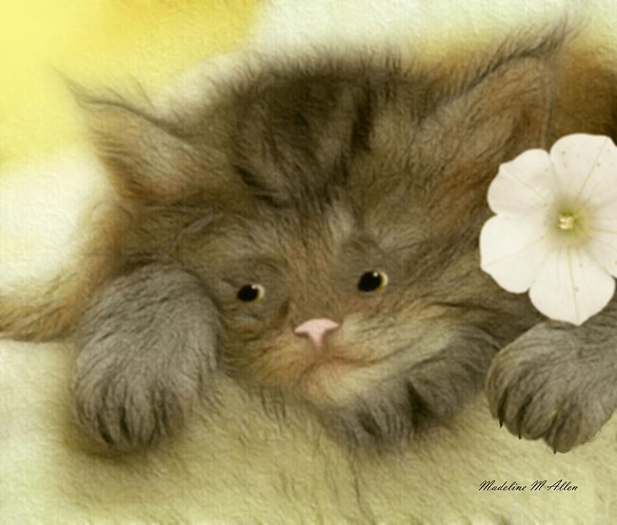 Mischievous Kitty Digital Art by Madeline  Allen - SmudgeArt
