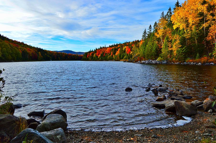 Misery Pond Photograph By Angela Michaud - Fine Art America