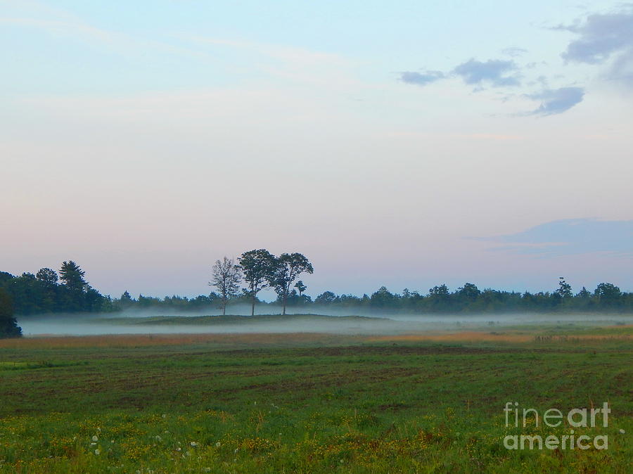 Pink  sky and misty pasturess Photograph by Priscilla Batzell Expressionist Art Studio Gallery